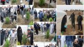 درختکاری در گلستان ادامه دارد /
