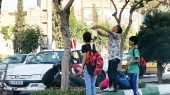 توت خوری وسط خیابان های گلستان