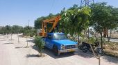 اصلاح روشنایی بوستان‌های سطح شهر گلستان با چراغ‌های LED کم‌مصرف