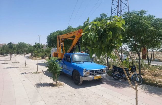 اصلاح روشنایی بوستان‌های سطح شهر گلستان با چراغ‌های LED کم‌مصرف