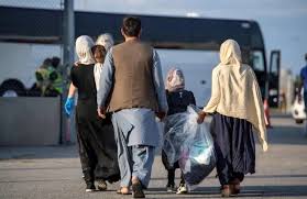 ورود جدی پلیس به معضل اتباع غیرمجاز در رباط‌کریم