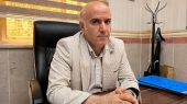 قطع بیخبر؟ هرگز! / جریمههای میلیاردی برای متخلفان فضای سبز در نسیمشهر