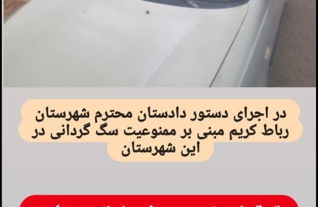 دوست‌داشتنی که گران تمام شد...