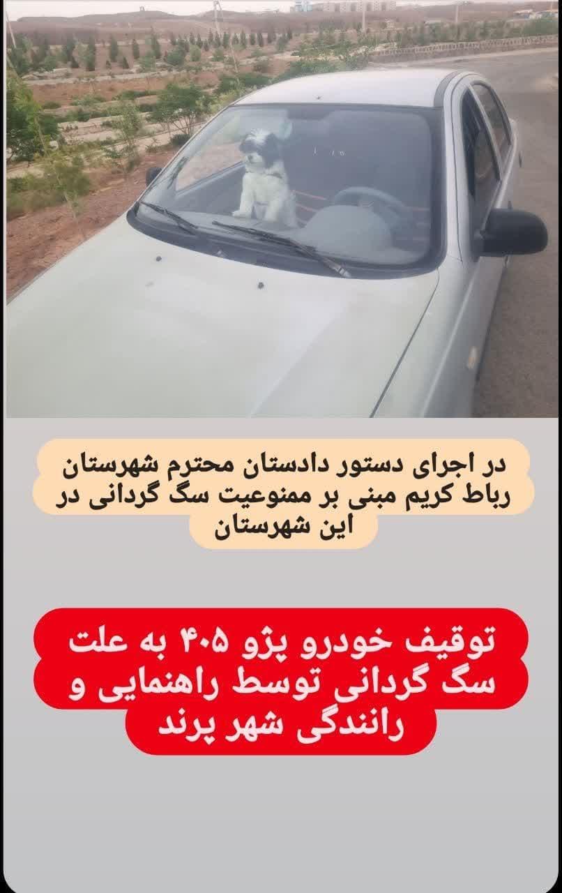 دوستداشتنی که گران تمام شد...