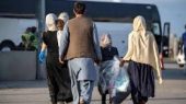 سیاست های جدید به ثمر نشست/ آمار تولد اتباع خارجی در بهارستان نصف شد