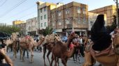 سوگواره کاروان نمادین اسرای کربلا در گلستان برگزار شد