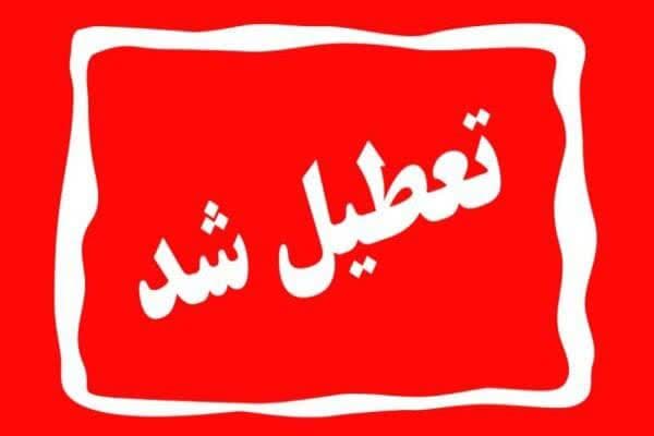 گرمای هوا کار خودش را کرد/ چهارشنبه استان تهران تعطیل شد