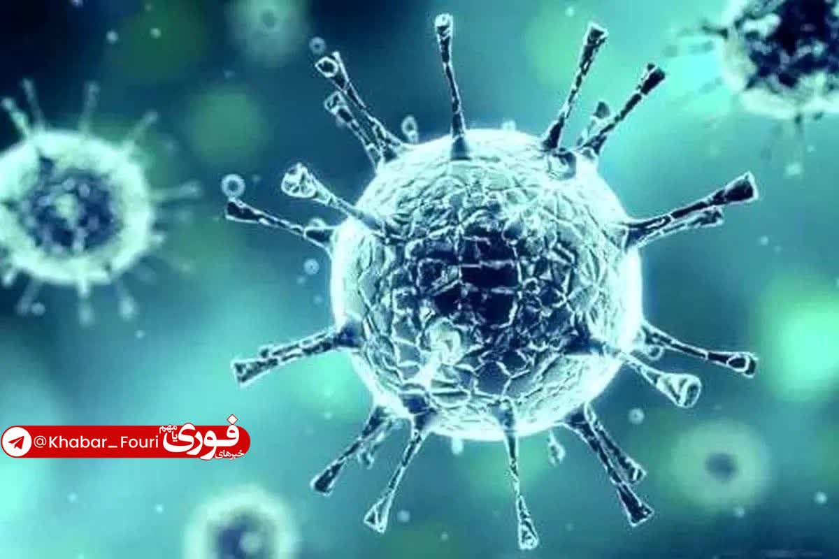 شیوع ۳ ویروس تنفسی در ایران/ معاون وزیر بهداشت هشدار داد!