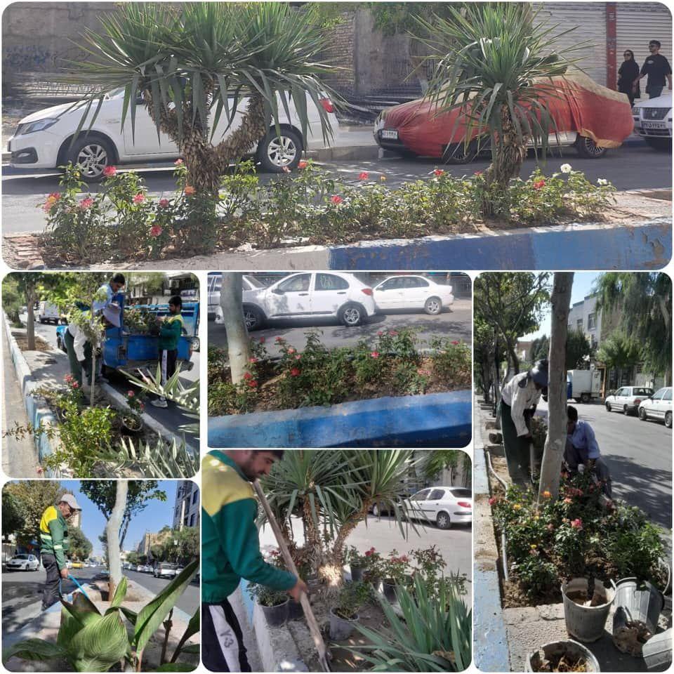 ساماندهی و بازپیرایی فضای سبز رفیوژ میانی بلوار شهید ملکی