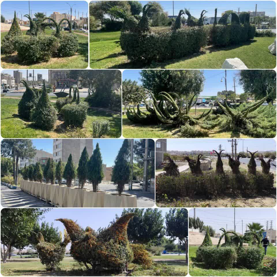 باغبانی زینتی و جوانسازی فضای سبز؛ هدیه تازه شهرداری به شهروندان رباط‌کریم