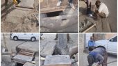 شهرداری رباط کریم به استقبال فصل پاییز رفت