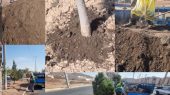 طرح ویژه کوددهی پاییزی درختان شهر پرند