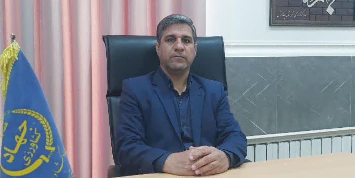 رییس اداره جهاد و کشاورزی: توزیع مرغ منجمد با قیمت مصوب در بهارستان آغاز شد