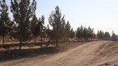 آغاز ساخت پارک جدید در مسیر رودخانه شادچای