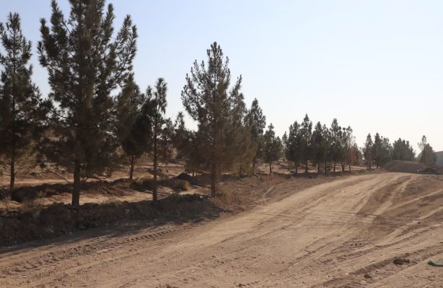 آغاز ساخت پارک جدید در مسیر رودخانه شادچای