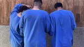 وحشت در خانه‌ زن پرندی؛ دو سارق بی‌رحم طلاها را بردند اما زمین‌گیر شدند!