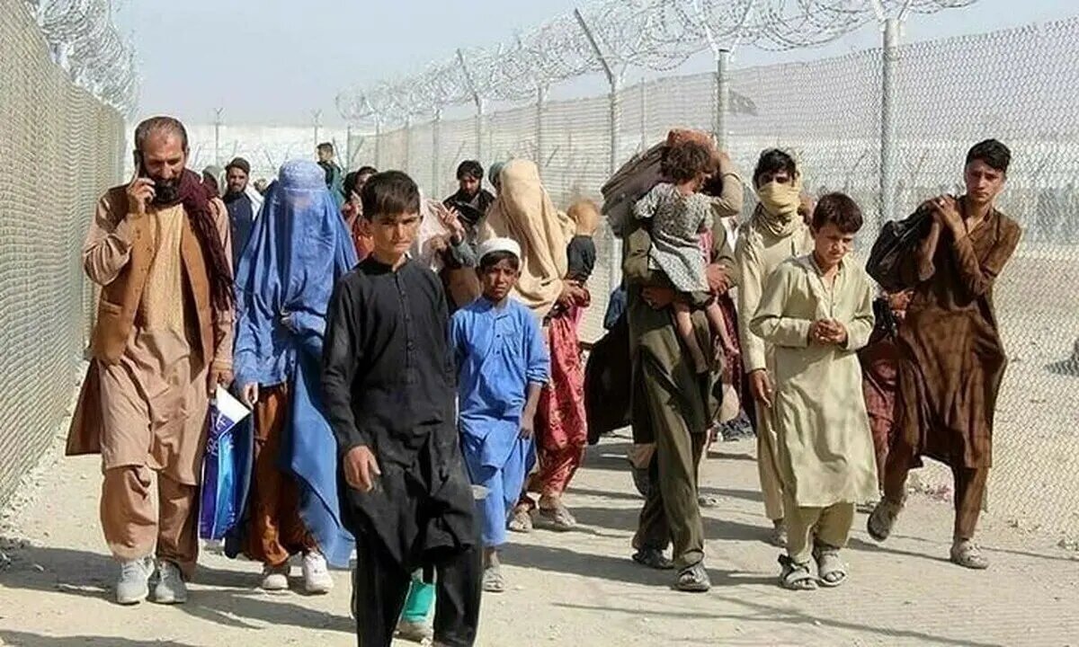خروج اتباع غیرمجاز افغانی چقدر بر کاهش مصرف نان تاثیر گذاشت؟/ هر تبعه غیرمجاز ماهانه ۱۲ کیلو آرد مصرف می‌کرد!!