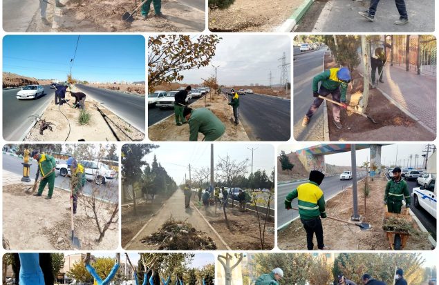 فضای سبز پرند در مسیر توسعه/ پرند شهری سرزنده برای شهروندان
