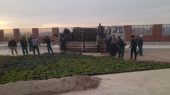 جلوه‌ای از طراوت زمستانی در سیمای شهر گلستان با کاشت گل‌های فصلی