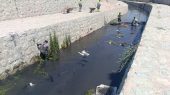 لایروبی رودخانه شادچای؛ ارتقای بهداشت محیطی در فصل گرما