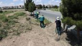 آراستگی فضای سبز شهری؛ عملیات حاشیه‌زنی و اصلاح آبخوری درختان سطح شهر اجرایی شد