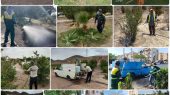 اقدامات شهرداری پرند برای بهبود عرصه‌ فضای سبز